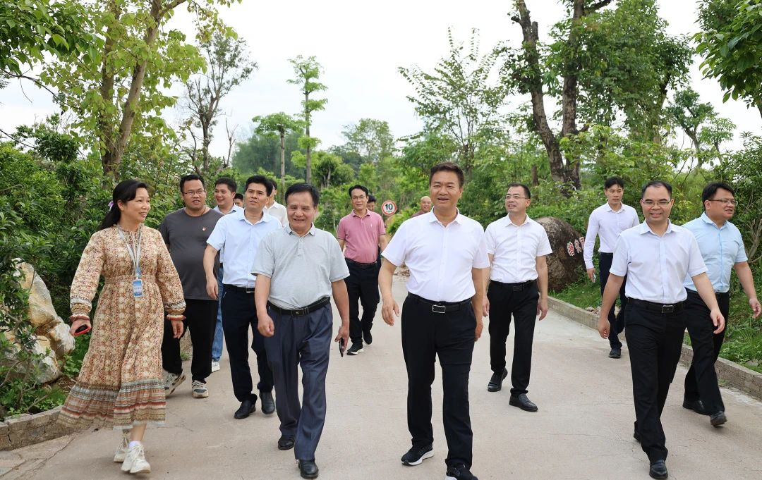桂平市市长黄德佳等领导到我校指导工作 丨 开云在线登陆入口